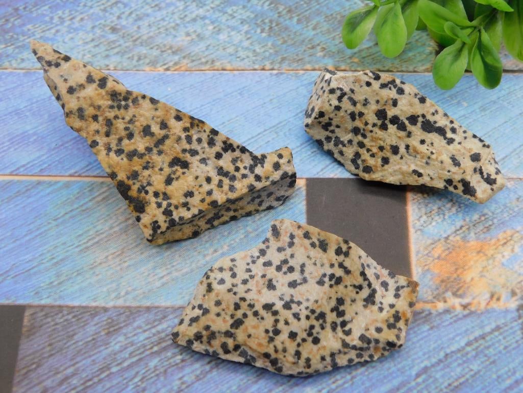 DALMATION JASPER ROCK STONE LAPIDARY SPECIMEN: DALMATION JASPER ROCK STONE LAPIDARY SPECIMEN — Part of our Discover Hidden Harbor, Crystals and Gems auction at HATMAN'S Auctions! Please see photos for measurements and condition. YES, we have in-