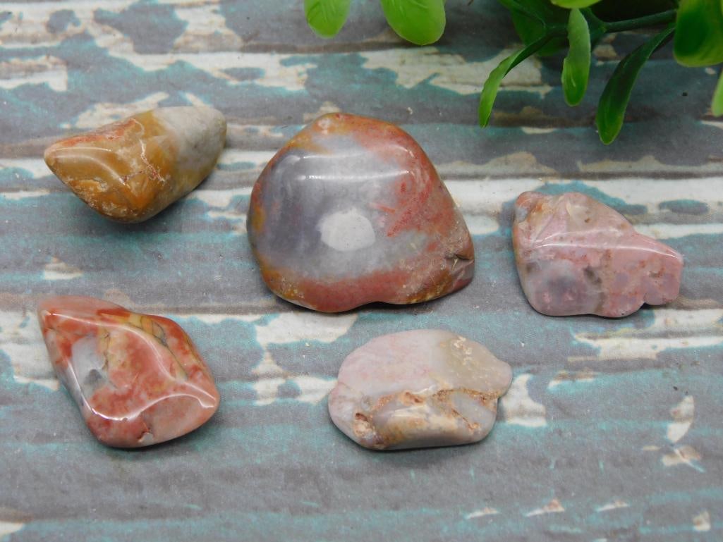 MOZARKITE ROCK STONE LAPIDARY SPECIMEN (1 of 2)