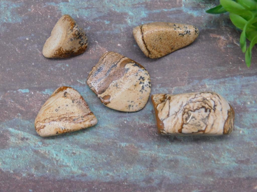 PICTURE JASPER ROCK STONE LAPIDARY SPECIMEN: PICTURE JASPER ROCK STONE LAPIDARY SPECIMEN — Part of our Discover Hidden Harbor, Crystals and Gems auction at HATMAN'S Auctions! Please see photos for measurements and condition. YES, we have in-ho