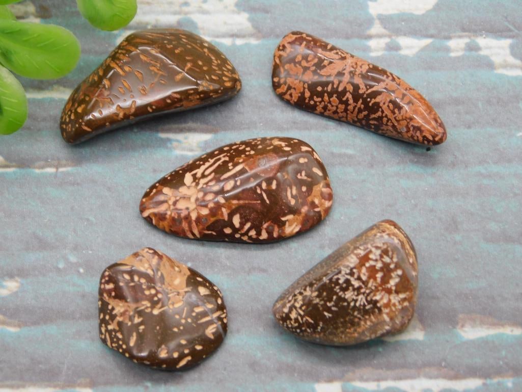 STARBURST JASPER ROCK STONE LAPIDARY SPECIMEN: STARBURST JASPER ROCK STONE LAPIDARY SPECIMEN — Part of our Discover Hidden Harbor, Crystals and Gems auction at HATMAN'S Auctions! Please see photos for measurements and condition. YES, we have