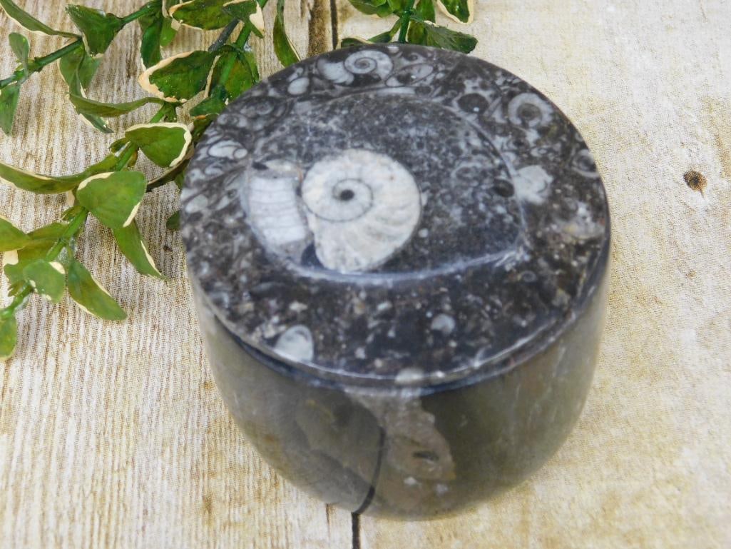 ORTHOCERAS TRINKET BOX ROCK STONE LAPIDARY SPECIMEN: ORTHOCERAS TRINKET BOX ROCK STONE LAPIDARY SPECIMEN — Part of our Discover Hidden Harbor, Crystals and Gems auction at HATMAN'S Auctions! Please see photos for measurements and condition. YES, we ha