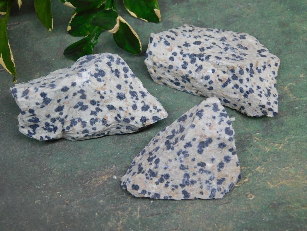 DALMATION JASPER ROCK STONE LAPIDARY SPECIMEN: DALMATION JASPER ROCK STONE LAPIDARY SPECIMEN — Part of our Discover Hidden Harbor, Crystals and Gems auction at HATMAN'S Auctions! Please see photos for measurements and condition. YES, we have in-