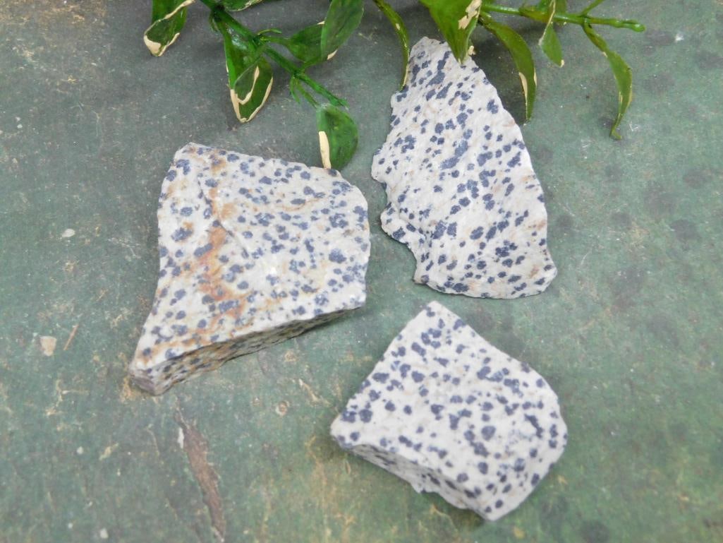 DALMATION JASPER ROCK STONE LAPIDARY SPECIMEN: DALMATION JASPER ROCK STONE LAPIDARY SPECIMEN — Part of our Discover Hidden Harbor, Crystals and Gems auction at HATMAN'S Auctions! Please see photos for measurements and condition. YES, we have
