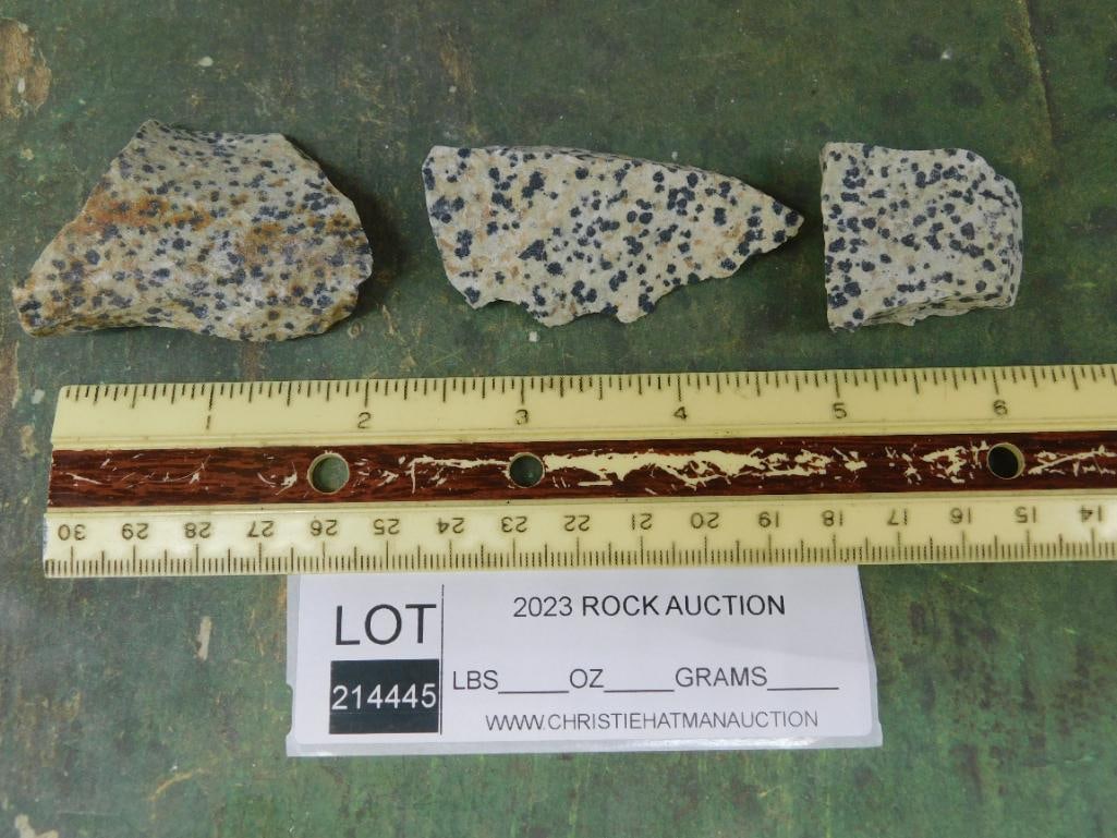 DALMATION JASPER ROCK STONE LAPIDARY SPECIMEN - 2