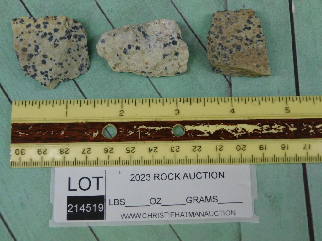 DALMATION JASPER ROCK STONE LAPIDARY SPECIMEN - 2