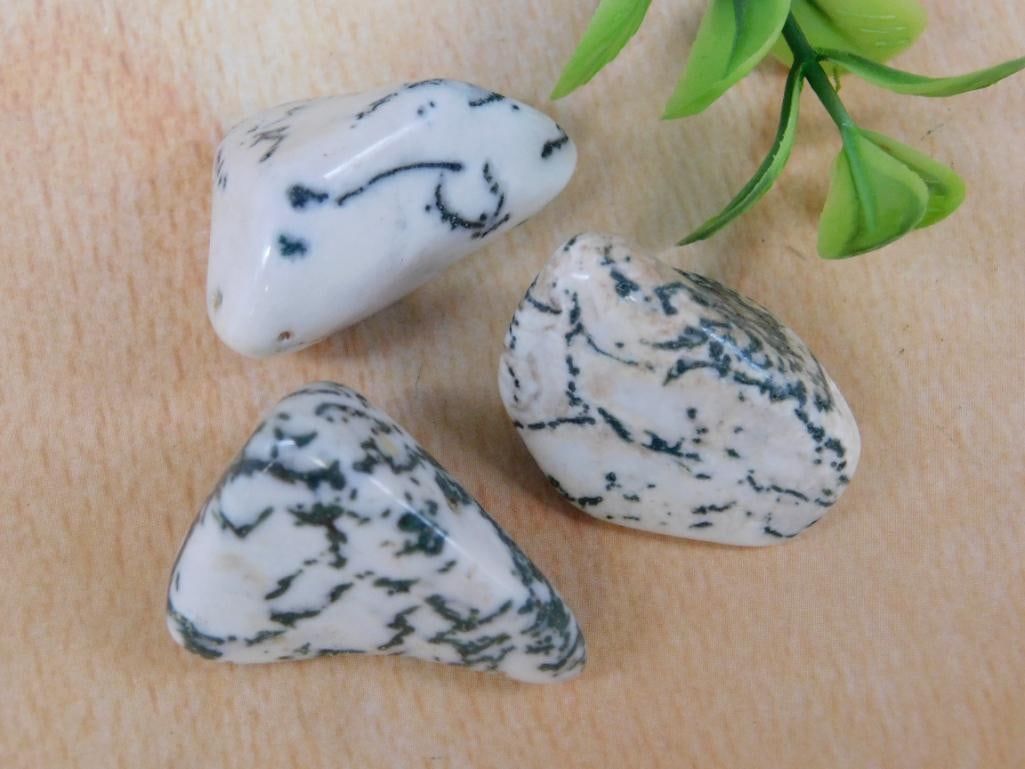 TREE AGATE ROCK STONE LAPIDARY SPECIMEN: TREE AGATE ROCK STONE LAPIDARY SPECIMEN — Part of our Discover Hidden Harbor, Crystals and Gems auction at HATMAN'S Auctions! Please see photos for measurements and condition. YES, we have in-house
