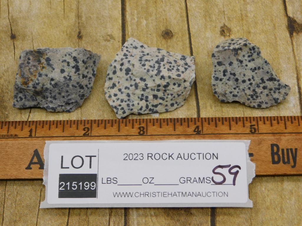 DALMATION JASPER ROCK STONE LAPIDARY SPECIMEN - 2