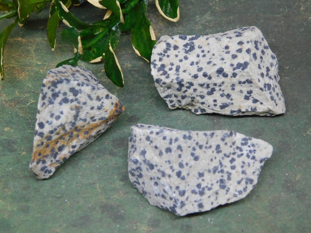 DALMATION JASPER ROCK STONE LAPIDARY SPECIMEN: DALMATION JASPER ROCK STONE LAPIDARY SPECIMEN — Part of our Discover Hidden Harbor, Crystals and Gems auction at HATMAN'S Auctions! Please see photos for measurements and condition. YES, we have