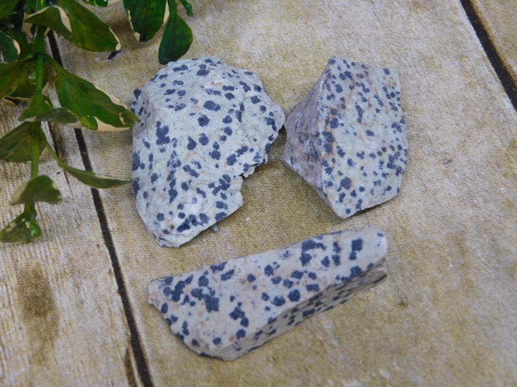 DALMATION JASPER ROCK STONE LAPIDARY SPECIMEN: DALMATION JASPER ROCK STONE LAPIDARY SPECIMEN — Part of our Discover Hidden Harbor, Crystals and Gems auction at HATMAN'S Auctions! Please see photos for measurements and condition. YES, we have