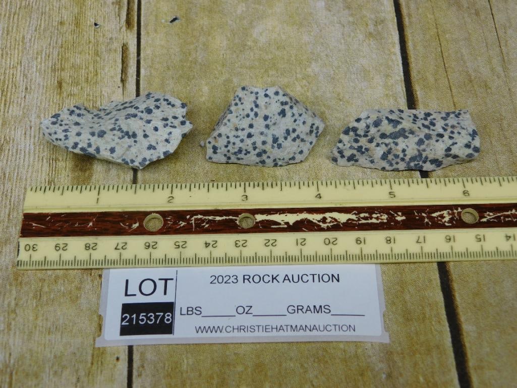 DALMATION JASPER ROCK STONE LAPIDARY SPECIMEN - 2
