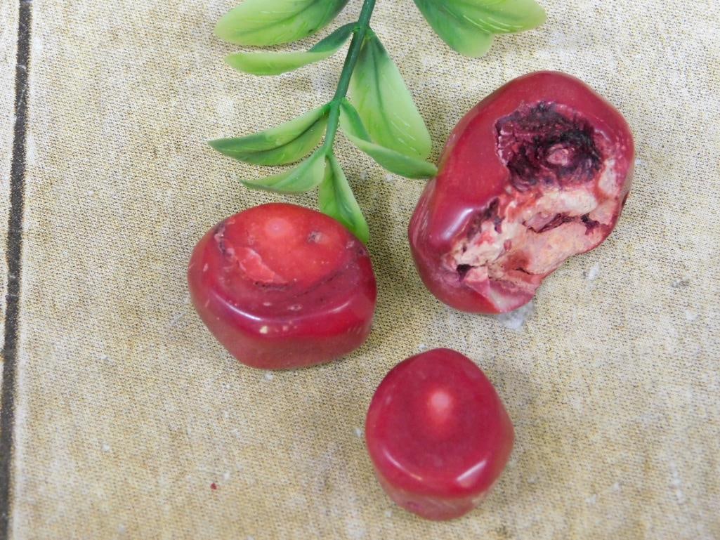 RED CORAL ROCK STONE LAPIDARY SPECIMEN: RED CORAL ROCK STONE LAPIDARY SPECIMEN — Part of our Discover Hidden Harbor, Crystals and Gems auction at HATMAN'S Auctions! Please see photos for measurements and condition. YES, we have in-house