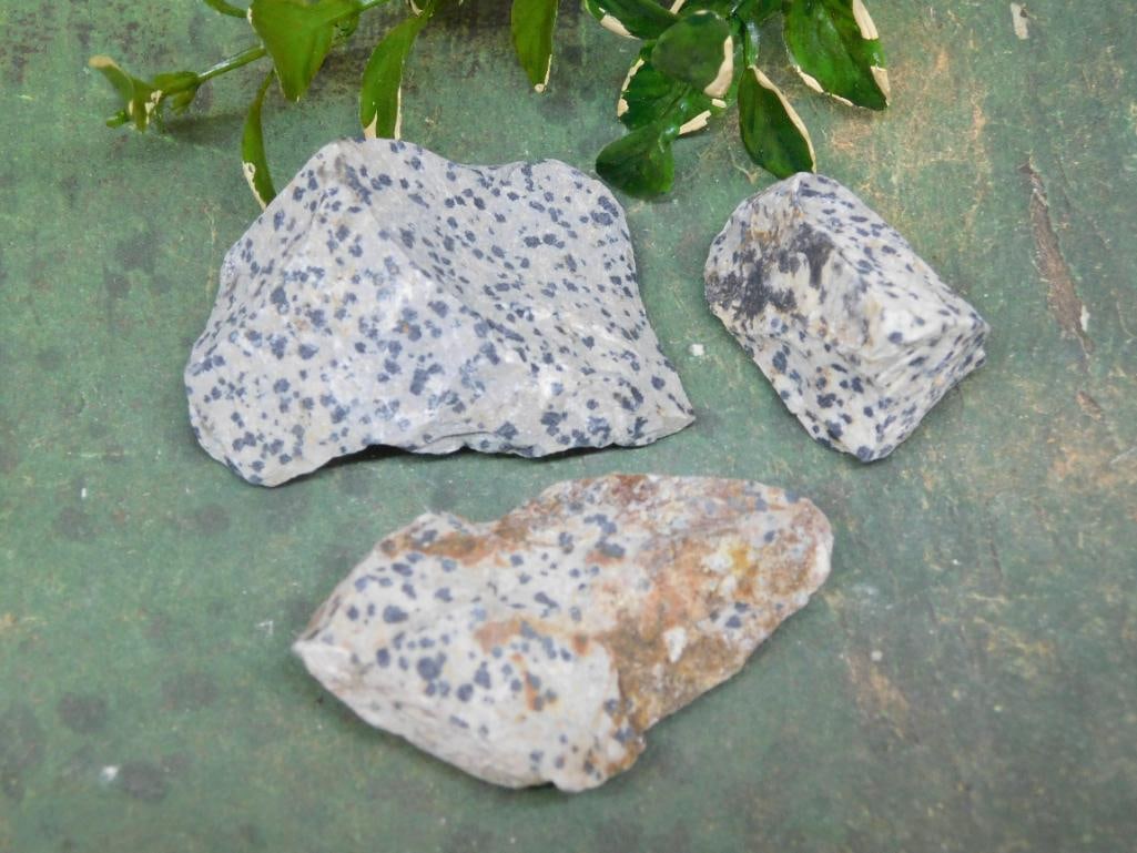 DALMATION JASPER ROCK STONE LAPIDARY SPECIMEN: DALMATION JASPER ROCK STONE LAPIDARY SPECIMEN — Part of our Discover Hidden Harbor, Crystals and Gems auction at HATMAN'S Auctions! Please see photos for measurements and condition. YES, we have in-