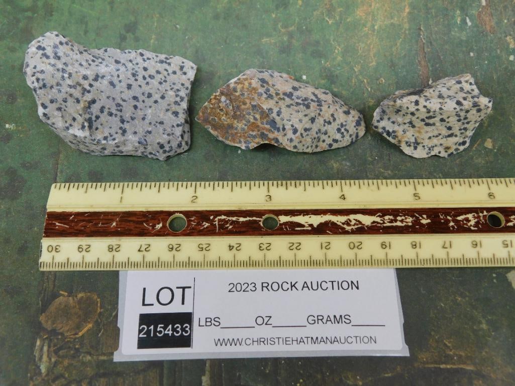 DALMATION JASPER ROCK STONE LAPIDARY SPECIMEN - 2