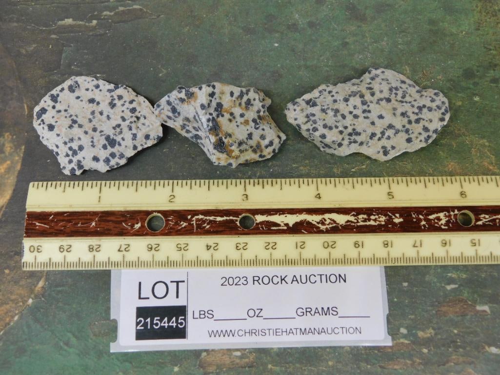 DALMATION JASPER ROCK STONE LAPIDARY SPECIMEN - 2