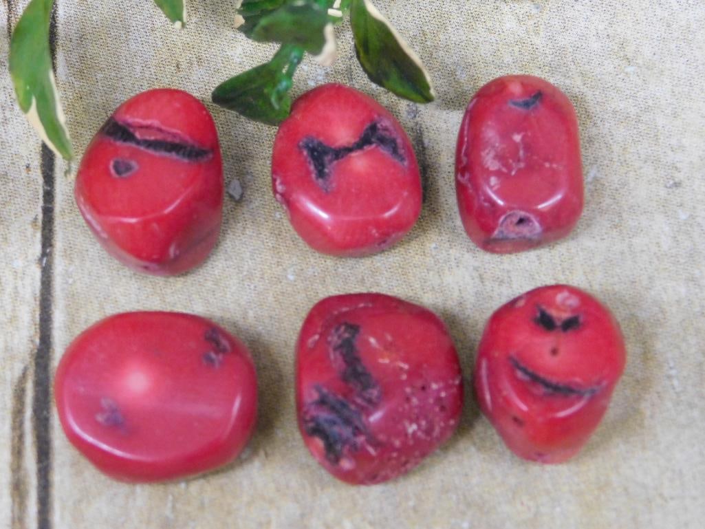 RED CORAL ROCK STONE LAPIDARY SPECIMEN: RED CORAL ROCK STONE LAPIDARY SPECIMEN — Part of our Discover Hidden Harbor, Crystals and Gems auction at HATMAN'S Auctions! Please see photos for measurements and condition. YES, we have in-house