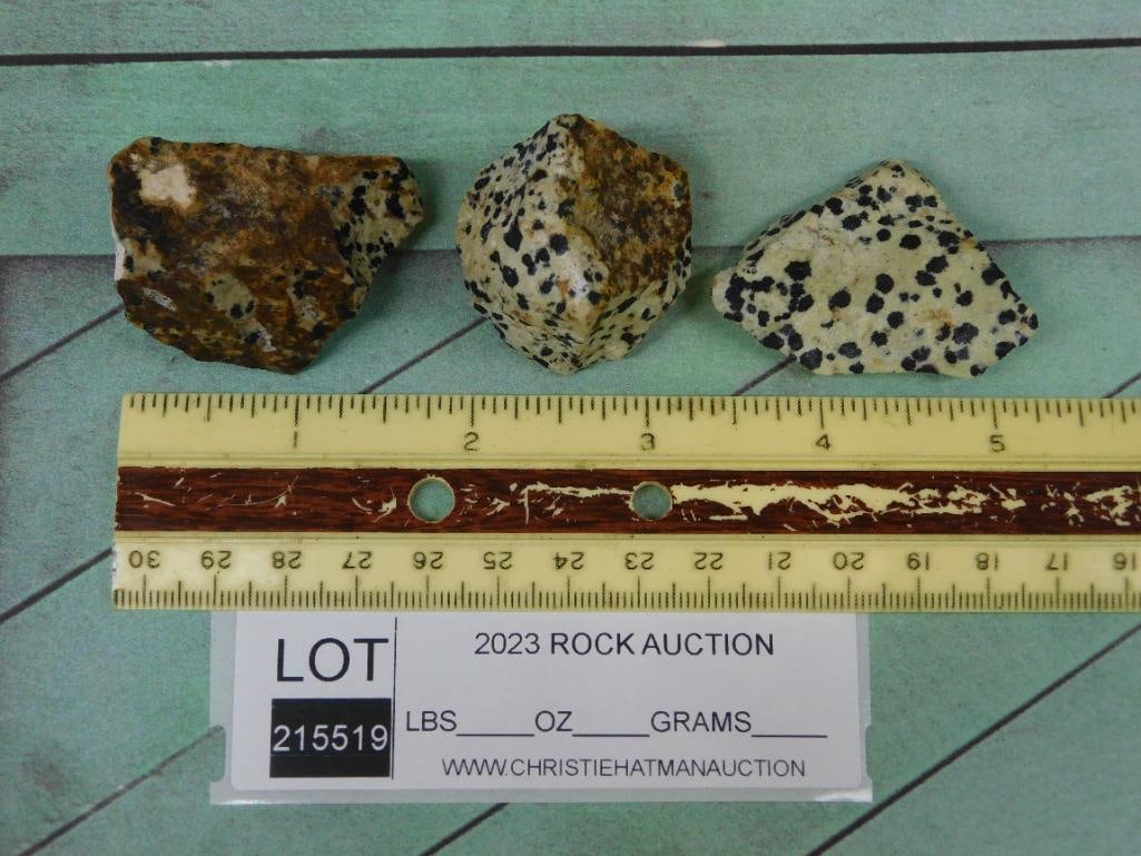 DALMATION JASPER ROCK STONE LAPIDARY SPECIMEN - 2