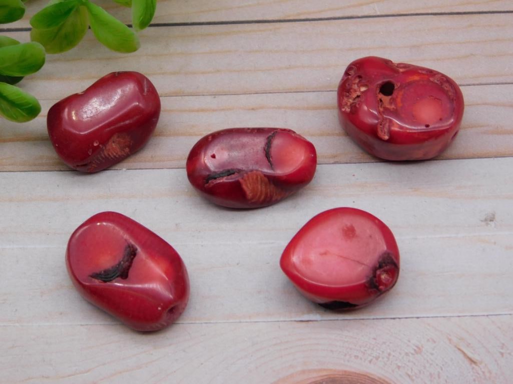 RED CORAL ROCK STONE LAPIDARY SPECIMEN: RED CORAL ROCK STONE LAPIDARY SPECIMEN — Part of our Discover Hidden Harbor, Crystals and Gems auction at HATMAN'S Auctions! Please see photos for measurements and condition. YES, we have in-house