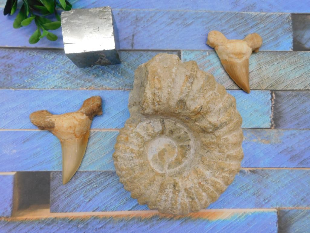 MIXED LOT ROCK STONE LAPIDARY SPECIMEN: MIXED LOT ROCK STONE LAPIDARY SPECIMEN — Part of our Discover Hidden Harbor, Crystals and Gems auction at HATMAN'S Auctions! Please see photos for measurements and condition. YES, we have in-house s