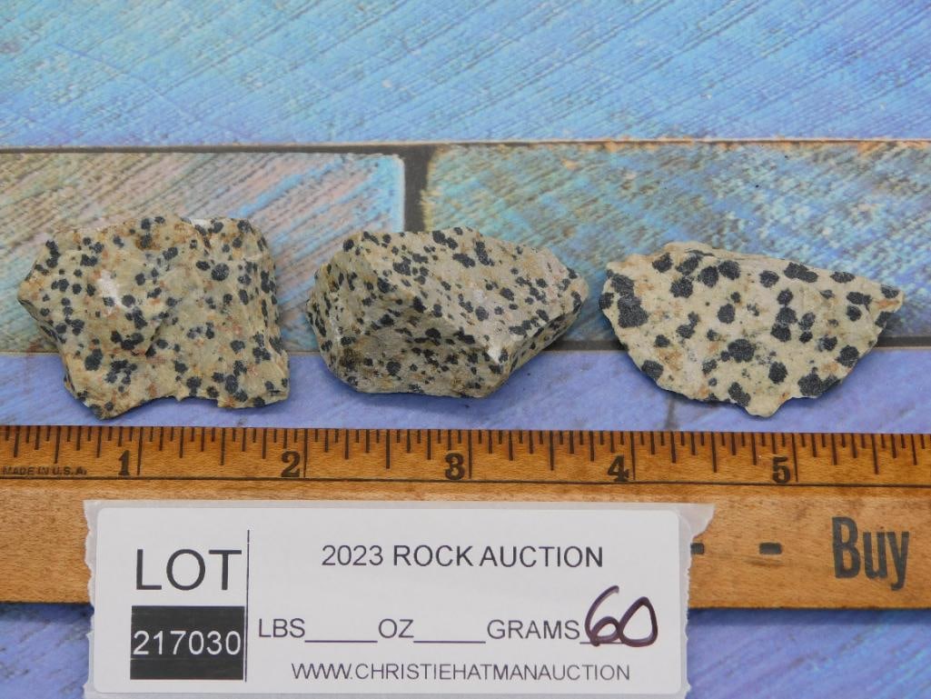 DALMATION JASPER ROCK STONE LAPIDARY SPECIMEN - 2