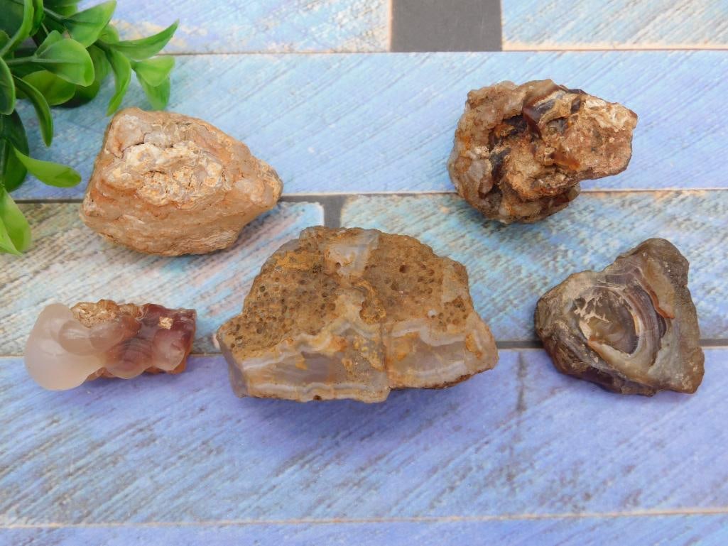 MIXED ROUGH LOT ROCK STONE LAPIDARY SPECIMEN: MIXED ROUGH LOT ROCK STONE LAPIDARY SPECIMEN — Part of our Discover Hidden Harbor, Crystals and Gems auction at HATMAN'S Auctions! Please see photos for measurements and condition. YES, we have