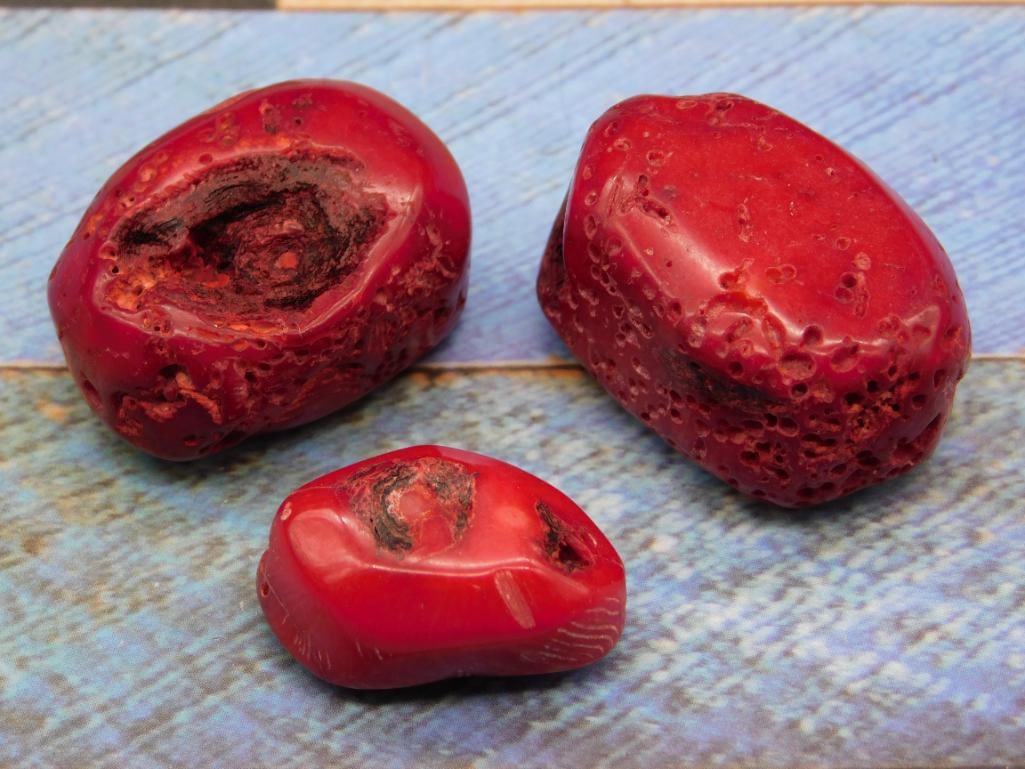 RED CORAL ROCK STONE LAPIDARY SPECIMEN: RED CORAL ROCK STONE LAPIDARY SPECIMEN — Part of our Discover Hidden Harbor, Crystals and Gems auction at HATMAN'S Auctions! Please see photos for measurements and condition. YES, we have in-house