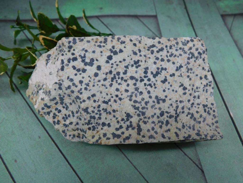1 POUND DALMATION JASPER ROCK STONE LAPIDARY SPECIMEN (1 of 2)