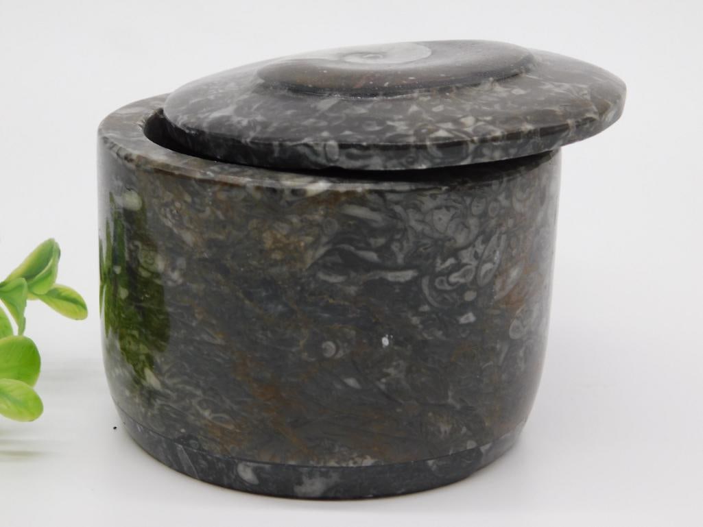 ORTHOCERAS TRINKET BOX ROCK STONE LAPIDARY SPECIMEN: ORTHOCERAS TRINKET BOX ROCK STONE LAPIDARY SPECIMEN — Part of our Discover Hidden Harbor, Crystals and Gems auction at HATMAN'S Auctions! Please see photos for measurements and condition. YES, we