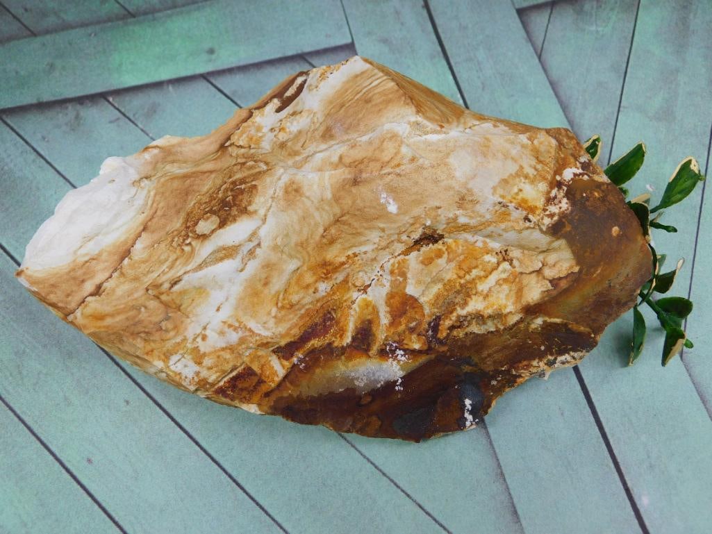 JASPER ROCK STONE LAPIDARY SPECIMEN: JASPER ROCK STONE LAPIDARY SPECIMEN — Part of our Discover Hidden Harbor, Crystals and Gems auction at HATMAN'S Auctions! Please see photos for measurements and condition. YES, we have in-house