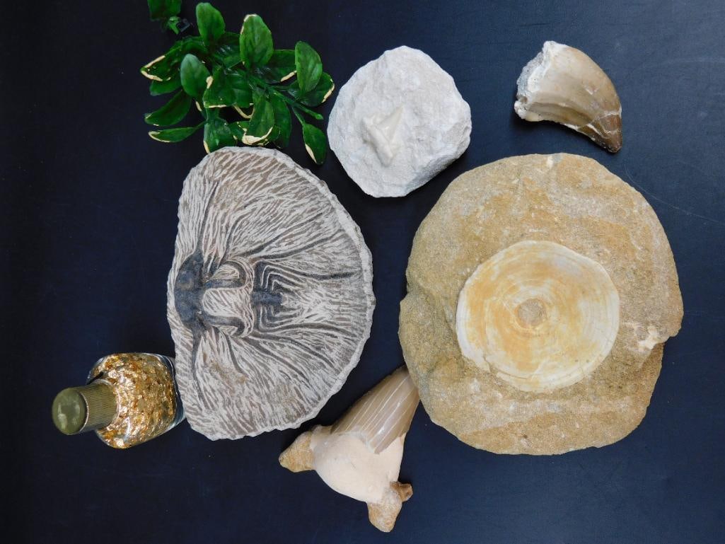 MIXED LOT ROCK STONE LAPIDARY SPECIMEN: MIXED LOT ROCK STONE LAPIDARY SPECIMEN - Part of our Discover Golden Attic, Crystals and Gems auction at HATMAN'S Auctions! Please see photos for measurements and condition. YES, we have in-house