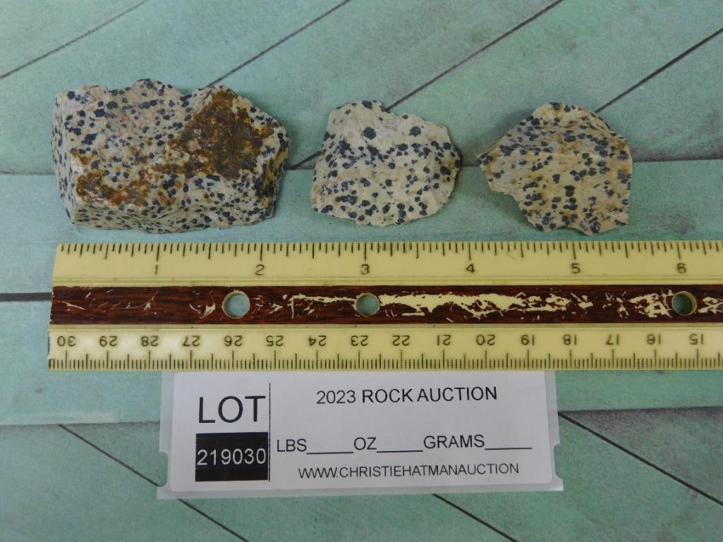 DALMATION JASPER ROCK STONE LAPIDARY SPECIMEN - 2