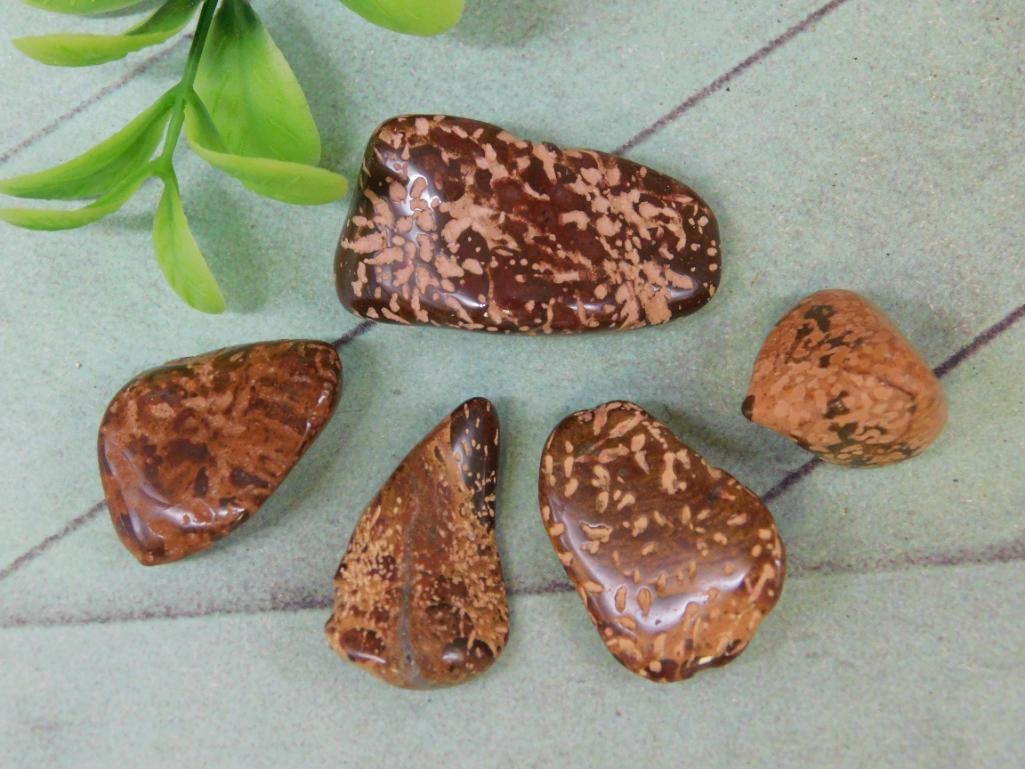 STARBURST JASPER ROCK STONE LAPIDARY SPECIMEN: STARBURST JASPER ROCK STONE LAPIDARY SPECIMEN - Part of our Discover Golden Attic, Crystals and Gems auction at HATMAN'S Auctions! Please see photos for measurements and condition. YES, we have