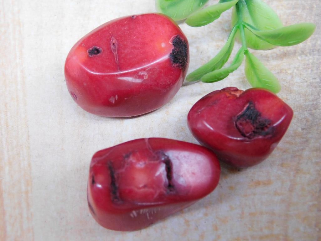 RED CORAL ROCK STONE LAPIDARY SPECIMEN: RED CORAL ROCK STONE LAPIDARY SPECIMEN - Part of our Discover Golden Attic, Crystals and Gems auction at HATMAN'S Auctions! Please see photos for measurements and condition. YES, we have in-house