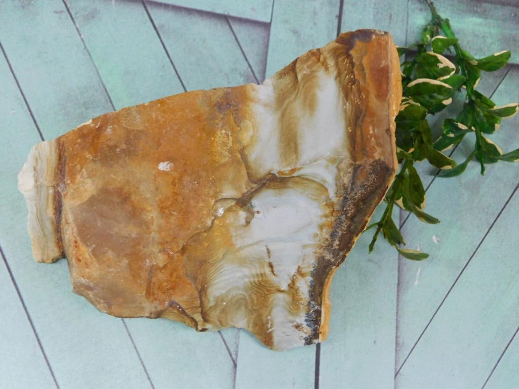 JASPER ROCK STONE LAPIDARY SPECIMEN: JASPER ROCK STONE LAPIDARY SPECIMEN - Part of our Discover Golden Attic, Crystals and Gems auction at HATMAN'S Auctions! Please see photos for measurements and condition. YES, we have in-house