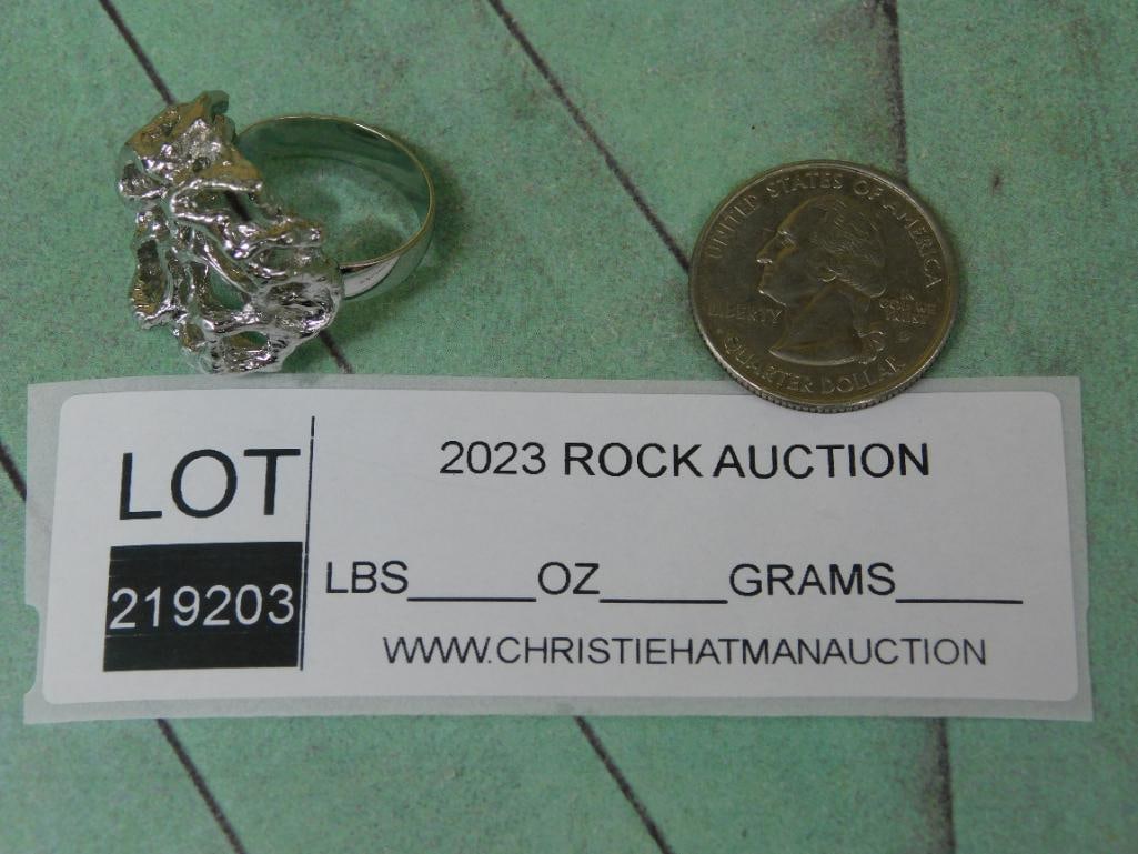 SILVER TONE RING ROCK STONE LAPIDARY SPECIMEN - 2
