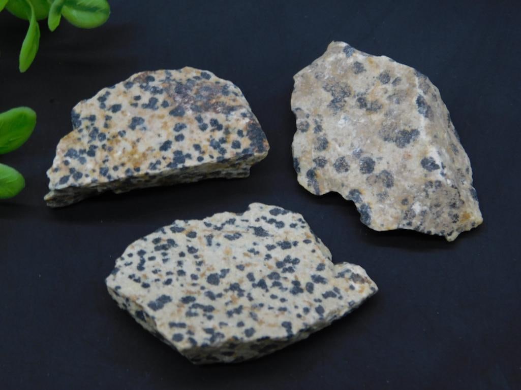 DALMATION JASPER ROCK STONE LAPIDARY SPECIMEN: DALMATION JASPER ROCK STONE LAPIDARY SPECIMEN - Part of our Discover Golden Attic, Crystals and Gems auction at HATMAN'S Auctions! Please see photos for measurements and condition. YES, we have