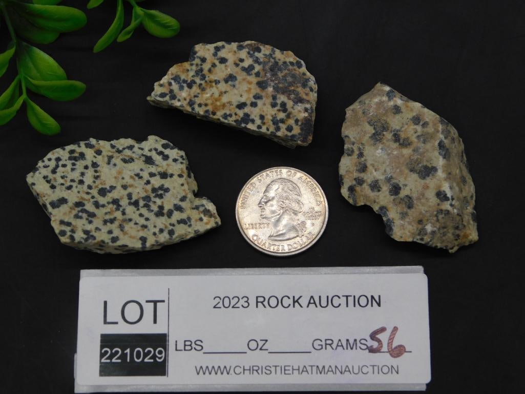 DALMATION JASPER ROCK STONE LAPIDARY SPECIMEN - 2
