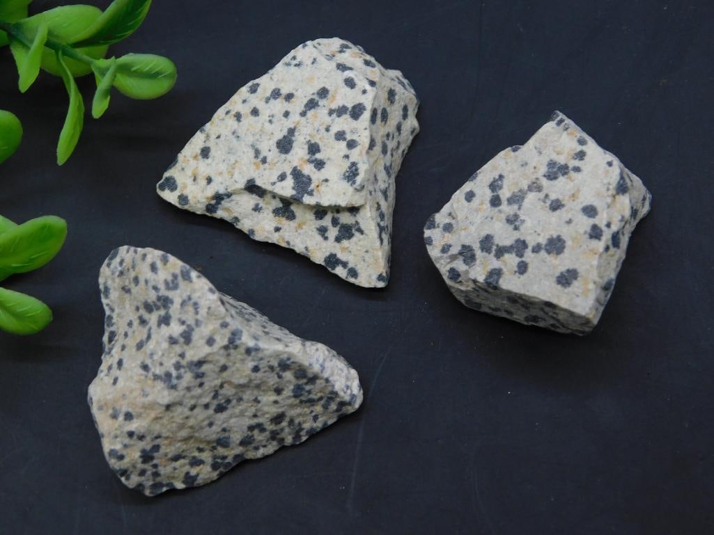 DALMATION JASPER ROCK STONE LAPIDARY SPECIMEN: DALMATION JASPER ROCK STONE LAPIDARY SPECIMEN - Part of our Discover Golden Attic, Crystals and Gems auction at HATMAN'S Auctions! Please see photos for measurements and condition. YES, we have