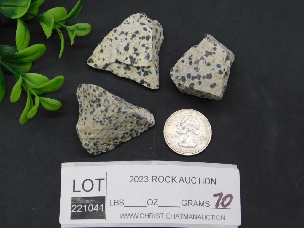 DALMATION JASPER ROCK STONE LAPIDARY SPECIMEN - 2