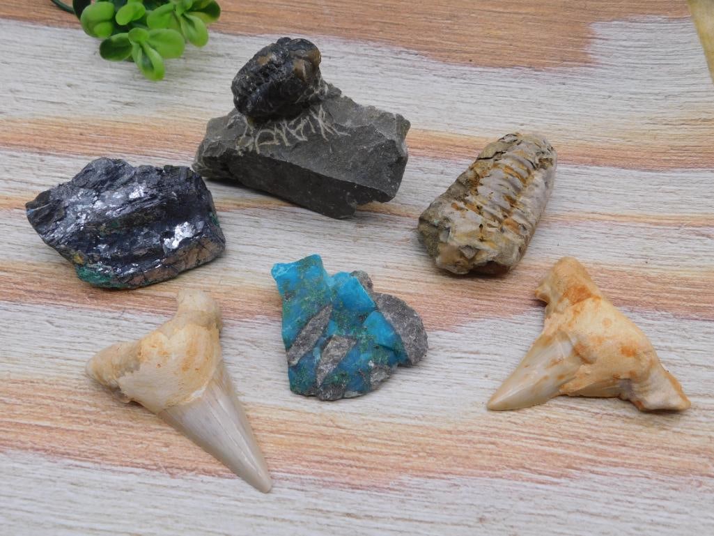MIXED LOT ROCK STONE LAPIDARY SPECIMEN: MIXED LOT ROCK STONE LAPIDARY SPECIMEN - Part of our Discover Golden Attic, Crystals and Gems auction at HATMAN'S Auctions! Please see photos for measurements and condition. YES, we have in-house