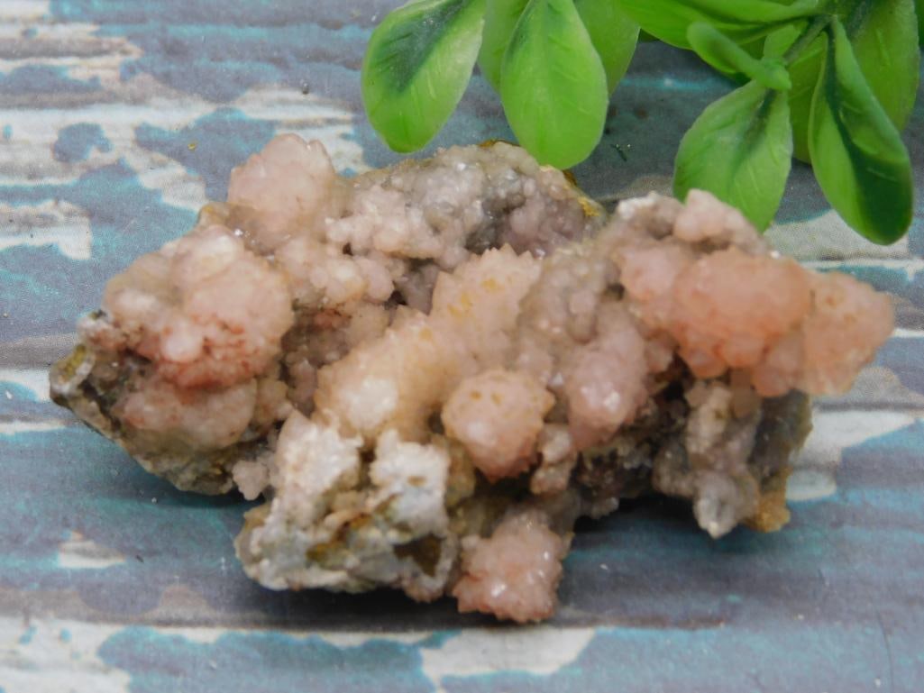 ROCK STONE LAPIDARY SPECIMEN (1 of 2)