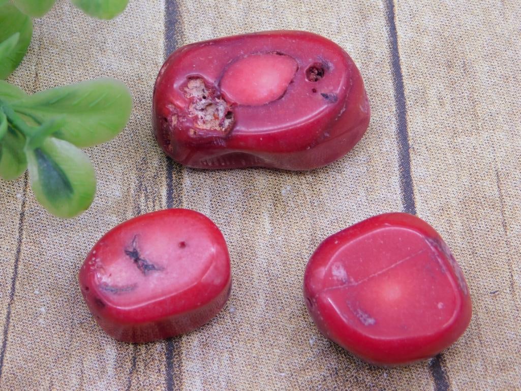 RED CORAL ROCK STONE LAPIDARY SPECIMEN: RED CORAL ROCK STONE LAPIDARY SPECIMEN - Part of our Discover Golden Attic, Crystals and Gems auction at HATMAN'S Auctions! Please see photos for measurements and condition. YES, we have in-house