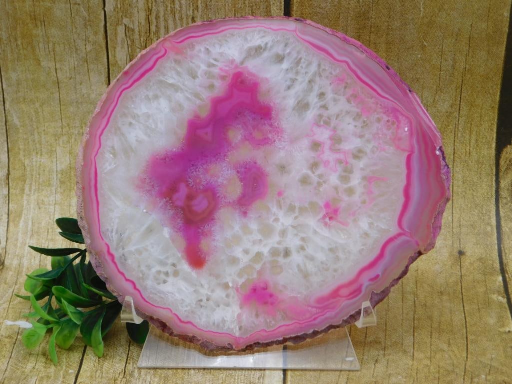 AGATE SLICE ROCK STONE LAPIDARY SPECIMEN: AGATE SLICE ROCK STONE LAPIDARY SPECIMEN - Part of our Discover Golden Attic, Crystals and Gems auction at HATMAN'S Auctions! Please see photos for measurements and condition. YES, we have in-house
