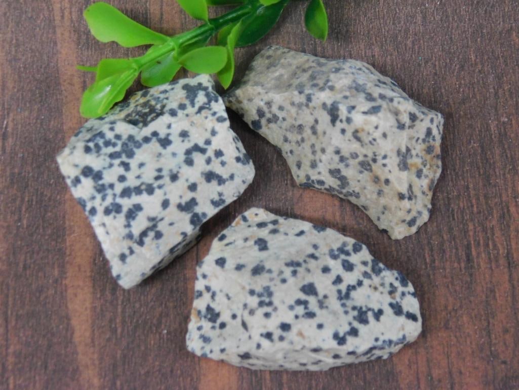 DALMATION JASPER ROCK STONE LAPIDARY SPECIMEN: DALMATION JASPER ROCK STONE LAPIDARY SPECIMEN - Part of our Discover Golden Attic, Crystals and Gems auction at HATMAN'S Auctions! Please see photos for measurements and condition. YES, we have