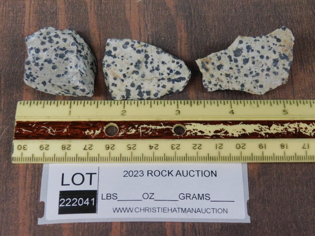 DALMATION JASPER ROCK STONE LAPIDARY SPECIMEN - 2