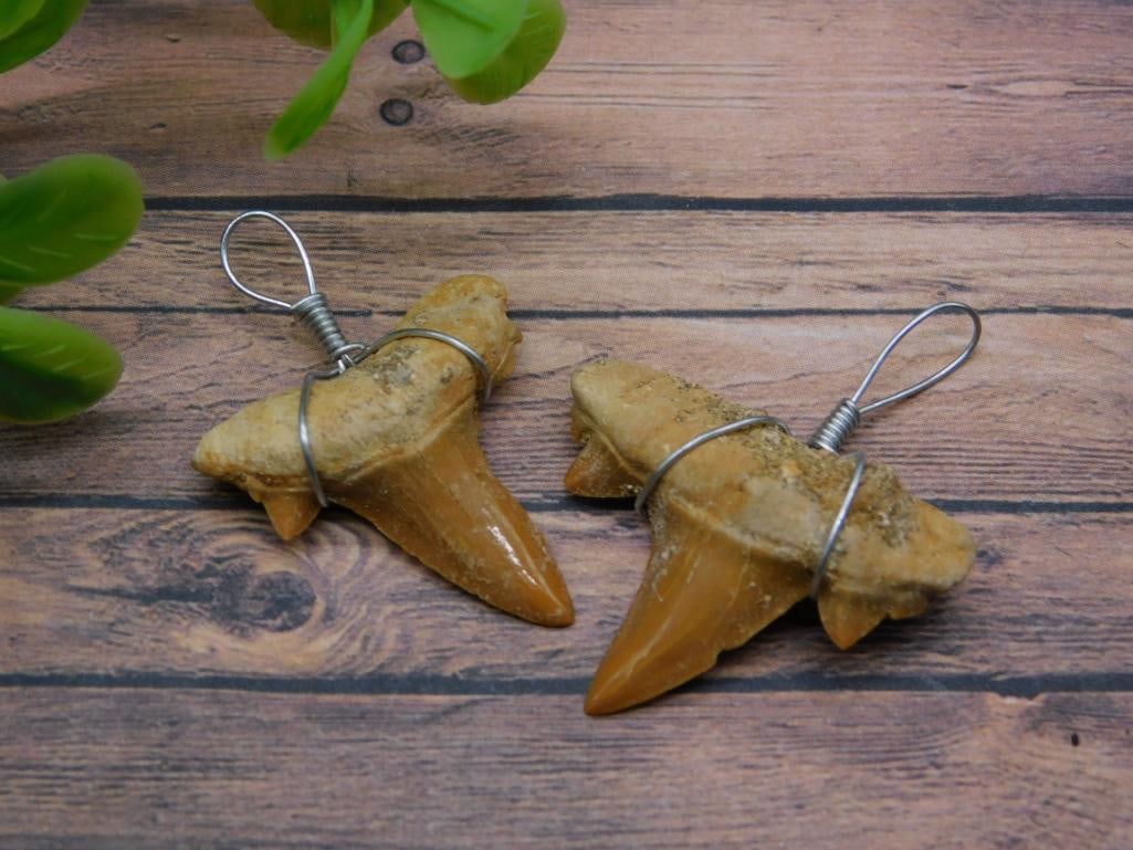 SHARK TOOTH PENDANTS ROCK STONE LAPIDARY SPECIMEN: SHARK TOOTH PENDANTS ROCK STONE LAPIDARY SPECIMEN - Part of our Discover Golden Attic, Crystals and Gems auction at HATMAN'S Auctions! Please see photos for measurements and condition. YES, we have