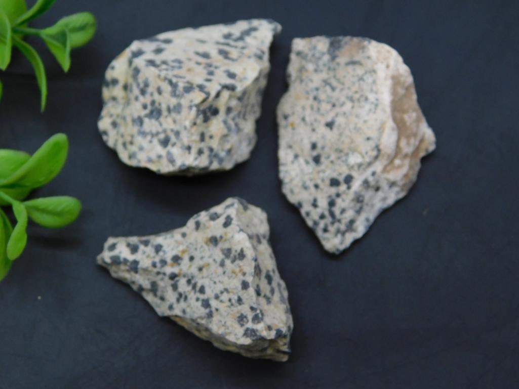 DALMATION JASPER ROCK STONE LAPIDARY SPECIMEN: DALMATION JASPER ROCK STONE LAPIDARY SPECIMEN - Part of our Discover Golden Attic, Crystals and Gems auction at HATMAN'S Auctions! Please see photos for measurements and condition. YES, we have