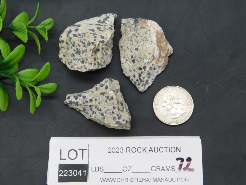 DALMATION JASPER ROCK STONE LAPIDARY SPECIMEN - 2