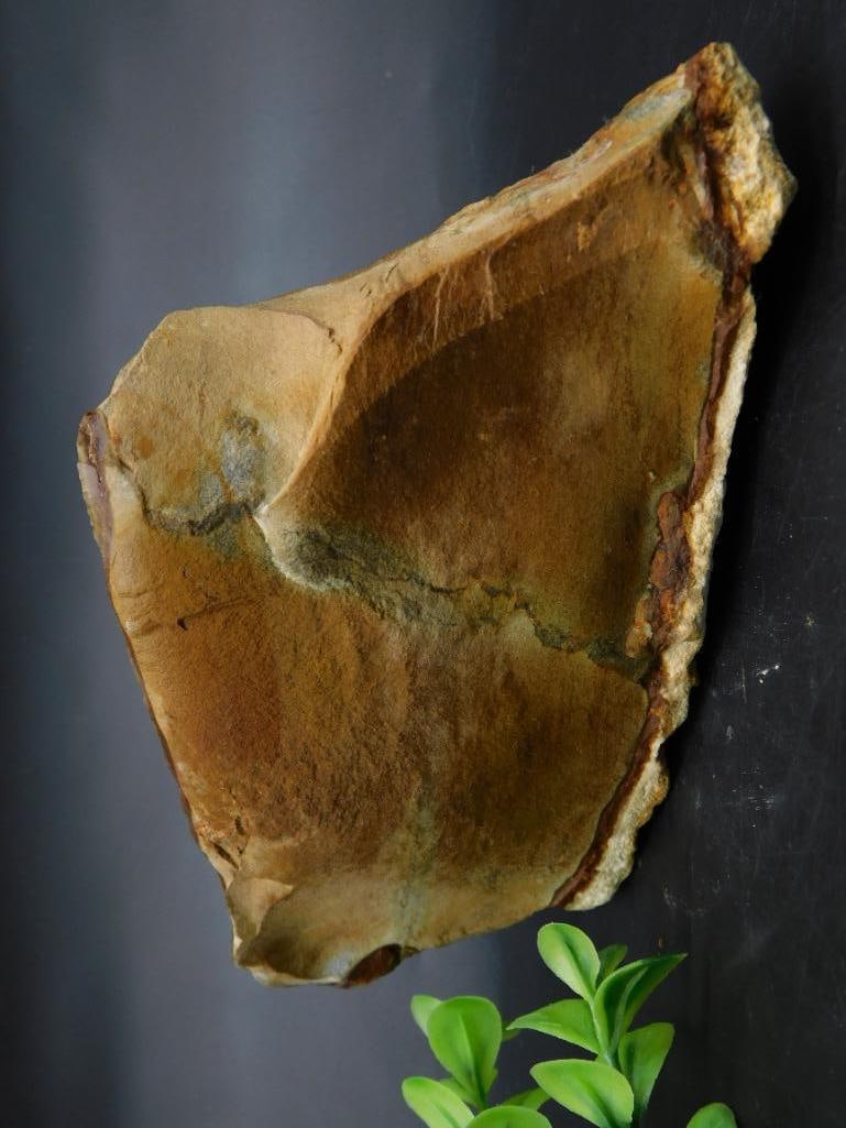 JASPER ROCK STONE LAPIDARY SPECIMEN: JASPER ROCK STONE LAPIDARY SPECIMEN - Part of our Discover Golden Attic, Crystals and Gems auction at HATMAN'S Auctions! Please see photos for measurements and condition. YES, we have in-house