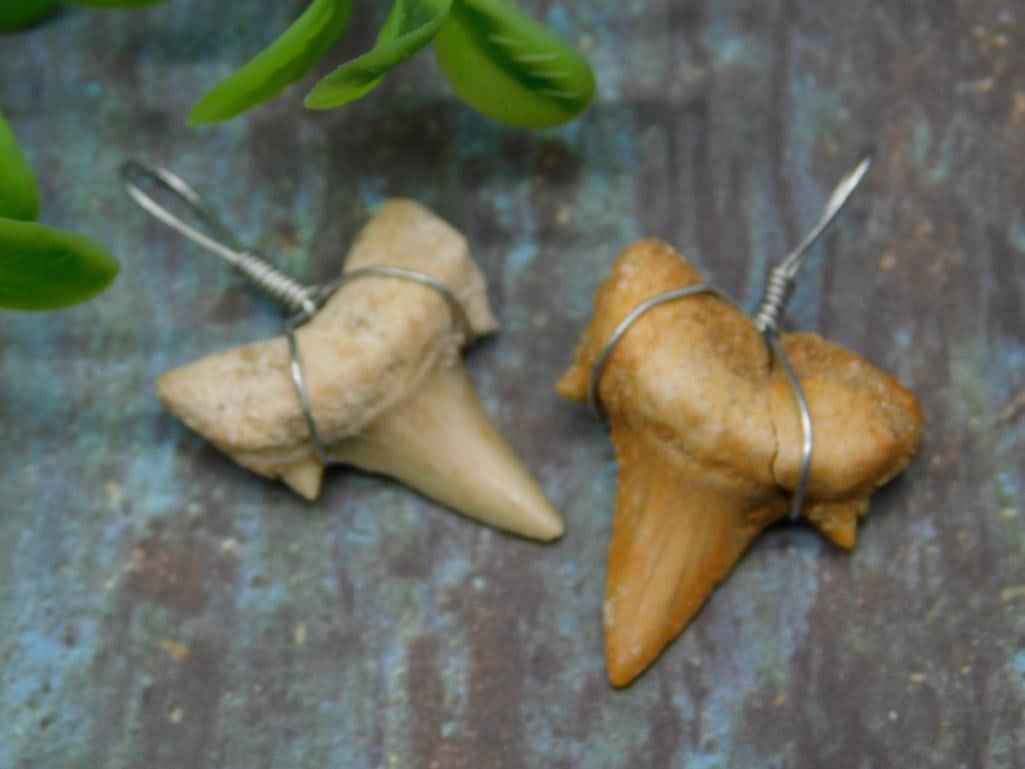 SHARK TEETH PENDANTS ROCK STONE LAPIDARY SPECIMEN: SHARK TEETH PENDANTS ROCK STONE LAPIDARY SPECIMEN - Part of our Discover Golden Attic, Crystals and Gems auction at HATMAN'S Auctions! Please see photos for measurements and condition. YES, we have
