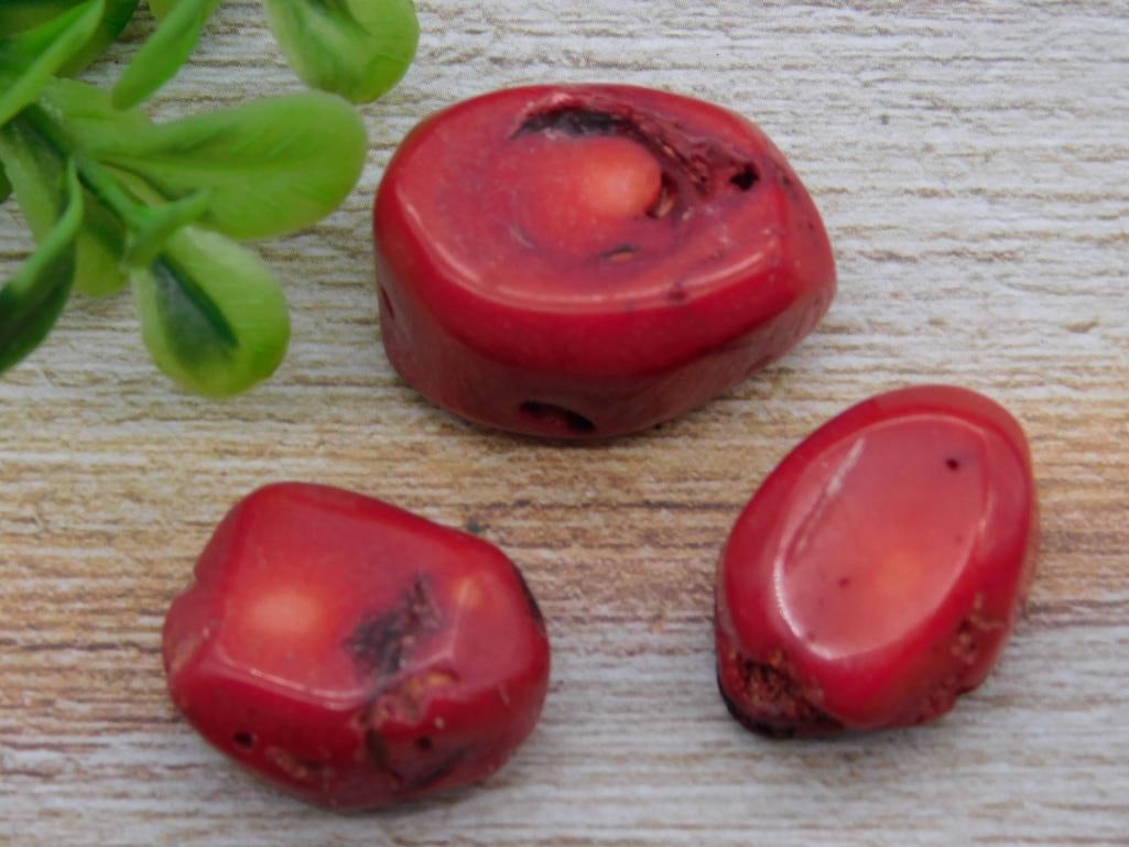 RED CORAL ROCK STONE LAPIDARY SPECIMEN: RED CORAL ROCK STONE LAPIDARY SPECIMEN - Part of our Discover Golden Attic, Crystals and Gems auction at HATMAN'S Auctions! Please see photos for measurements and condition. YES, we have in-house